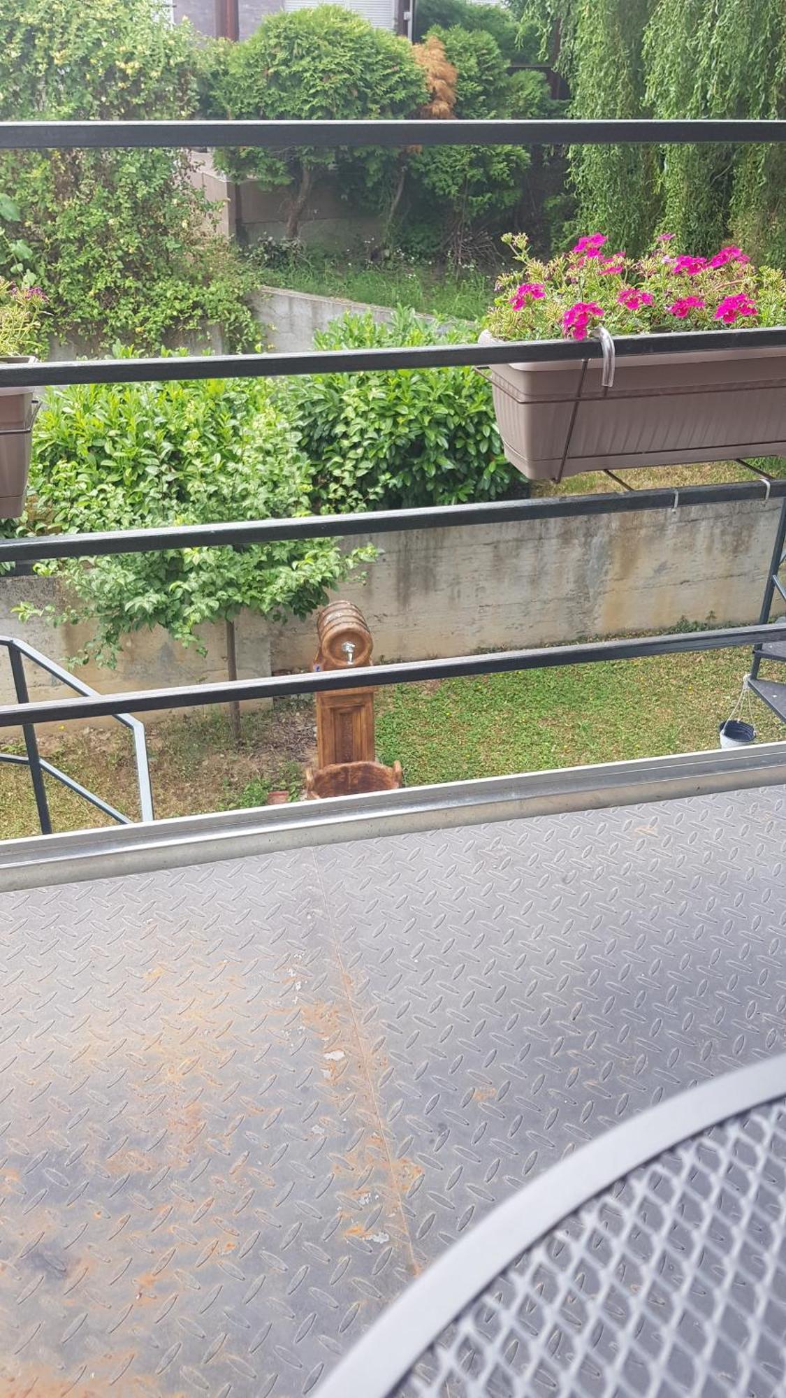 Apartmani V&F Vrnjačka Banja Cameră foto