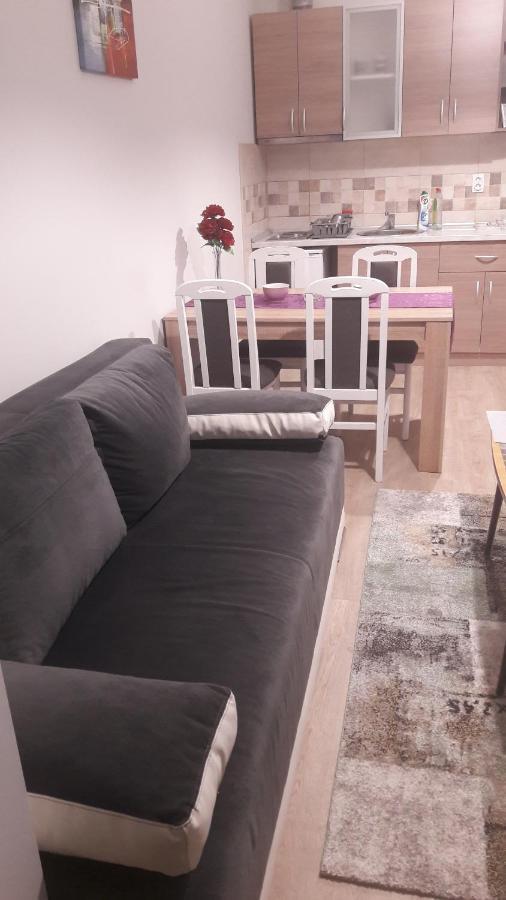 Apartmani V&F Vrnjačka Banja Exterior foto